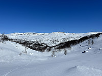 ØyvindBergkvam_20230809_64d3c4d26769e.jpg