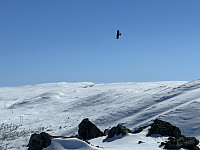 ØyvindBergkvam_20230809_64d3c4da4f5fc.jpg