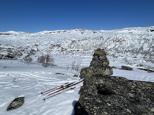 NØ for Nygardnøse 1141 moh.