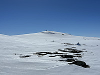 ØyvindBergkvam_20230830_64ef6c27a0669.jpg