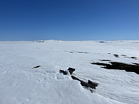 ØyvindBergkvam_20230830_64ef6c2ab3ece.jpg