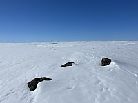 ØyvindBergkvam_20230830_64ef6c2b9e211.jpg
