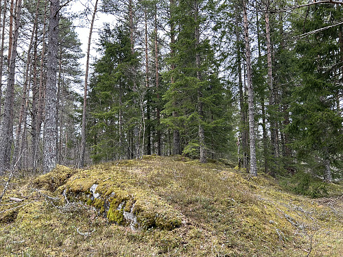 Toppunktet på Grauaåsen