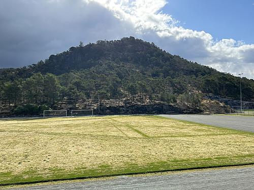 Ådneskarhaugen sett fra Arna stadion