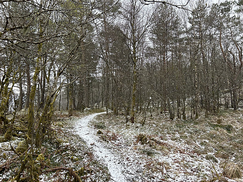 Snøbyger på vei opp mot Birkelandsnipa Sør