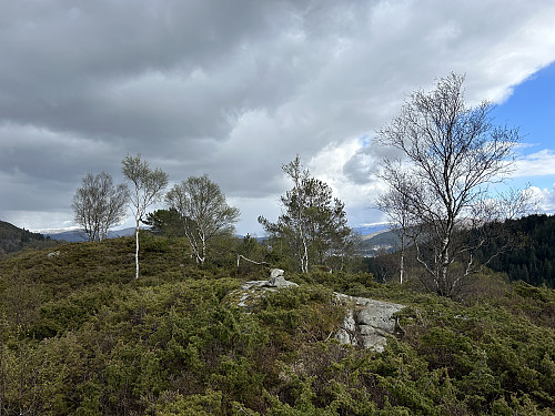 Toppunktet på Toppefjellet ligger på haugen bak til venstre