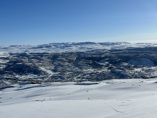 Reineskarvet ruver godt i nordøst