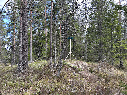Toppunktet på Råsåkhøgda er bare 20 meter unna hytta.