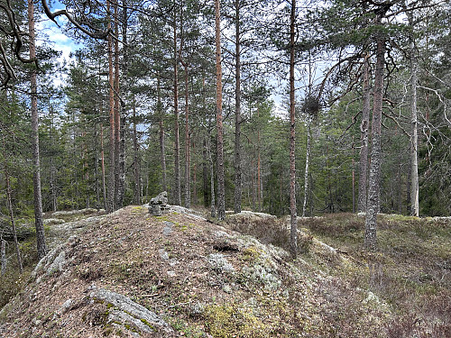 Kinnåsen 319 moh i Lillestrøm
