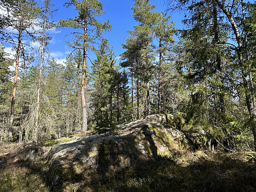 Skogbakkåsen 278 moh