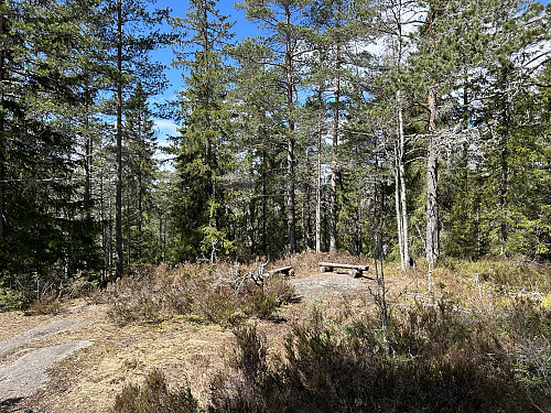 Lille Haukåsen 330 moh