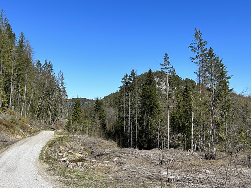 På vei innover mot Berbytårnet. Torgalsås ruver godt til høyre i bildet.
