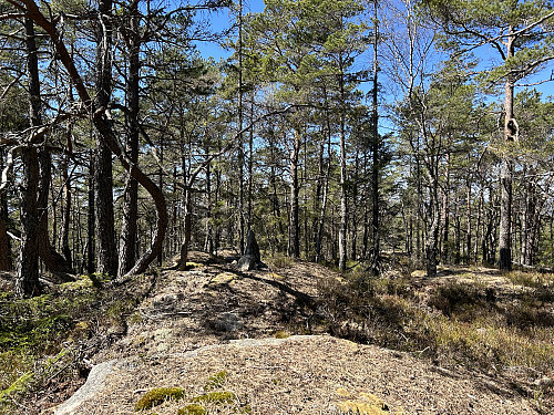 Vestfjella ligger like ved siden av Berbytårnet. 