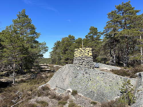 Riksrøys C. Det er utrolig fint å følge grensegata mellom Norge og Sverige, her går man seg ikke bort i tett kratt:)