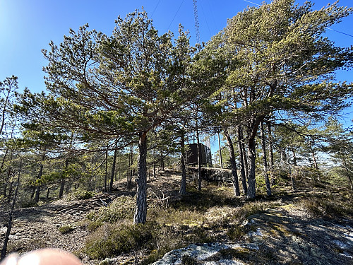 Torgalsås 107 moh har et lite teknisk hus på toppen
