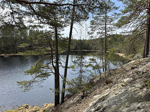 Agnetjernet