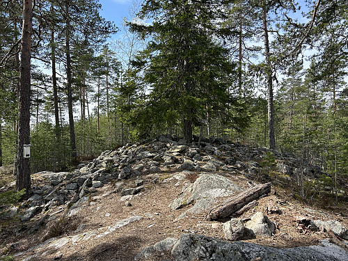 Gravrøysa som har gitt navnet til denne lille perlen av en topp, Røysa