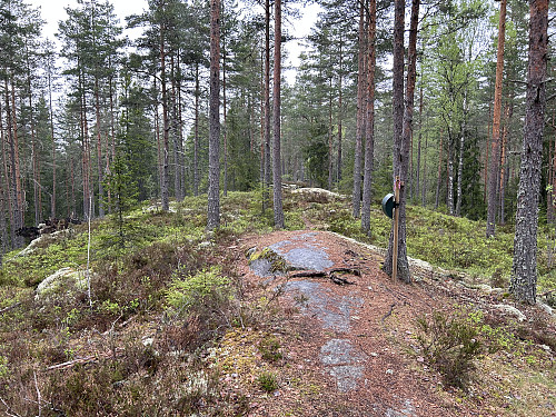 Brattåsen i Lillestrøm