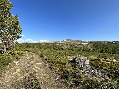 Utsikt over til Heimare Veslfjellet fra stien like nord for Langdalssætrin.