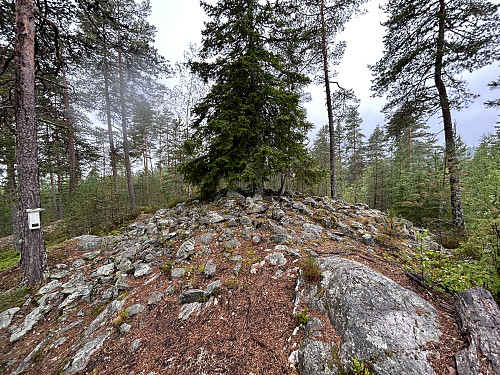 Gravrøysen på Røysa