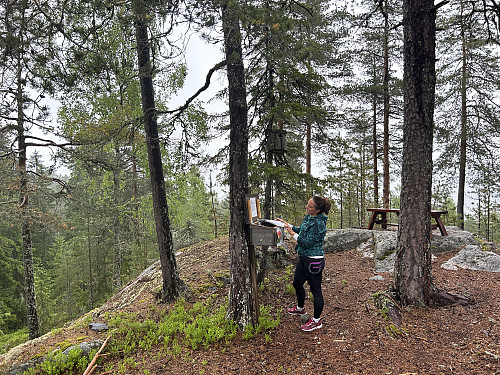 Turbok-kasse på Røysa 