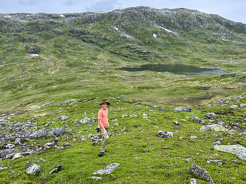 På vei oppover lia til Sauafjellet med Jernhusvatnet i bakgrunnen