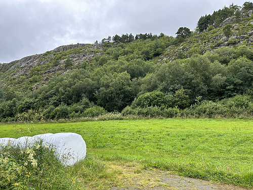 Stien starter ved det mørke partiet midt i bildet og fører deg bratt opp gjennom skogen i skaret.