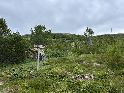 Stien opp til Øyrshatten er godt merket
