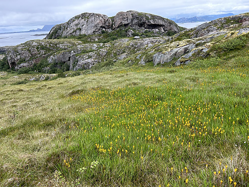 Fuglfjellet sett fra Øyrshatten. Den eneste oppgangen fra denne kanten er opp renna midt på fjellet.