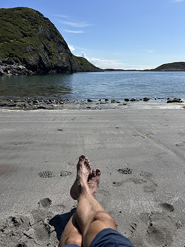 Strandliv i Nøvvika:)