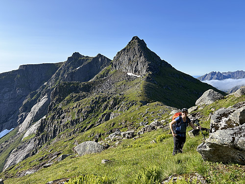 Utsikt tilbake mot skaret og Masstinden.