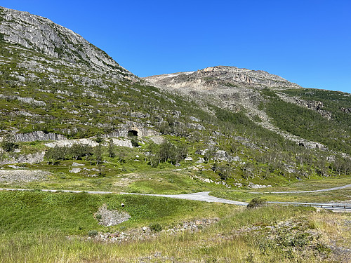 Den merkede stien/tråkket går opp gjennom krattet til skaret i bildet