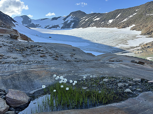 Skjelåtindbreen med Skjelåtinden bak til venstre.