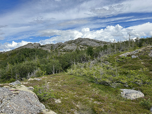 Strandfjellet kommer til syne når det bratteste partiet er unnagjort.