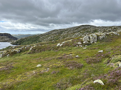 Grønhaug ses hele veien fra man kommer opp på snaufjellet.