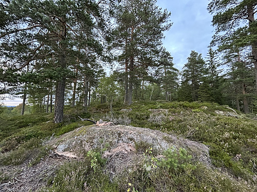 Borkhusåsen i Lier, selve toppunktet ligger inne på flaten til høyre i bildet
