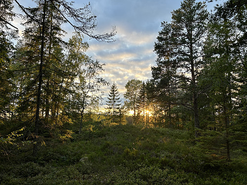 Vakker solnedgang på Borkhusåsen