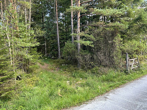 Stistart er like ved grinda som ses til høyre i bildet.