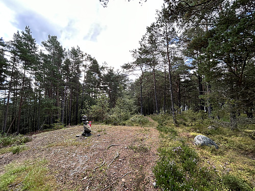 Storvarden på Idse