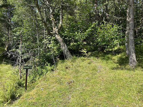 Man må over et beiteområde før man kommer til stien og skiltet mot Bandåsen. Herfra gir ruta selv selv oppover lia.