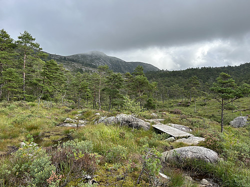 Stien går over flere myrpartier i åpent terreng.