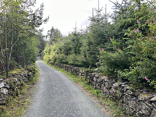Flott og smal vei som anbefales å gå eller sykle. Veien fører til et par hytter ved starten av turveien.