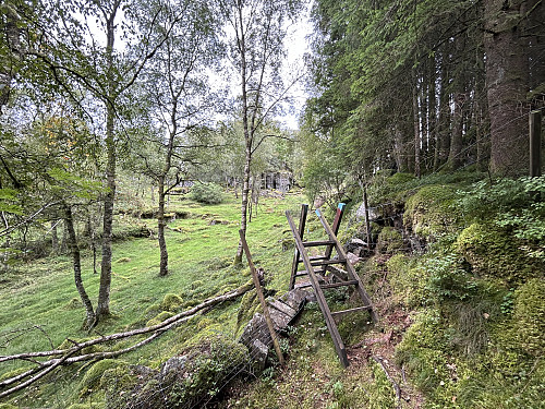 Gjerdeklyver underveis til toppen