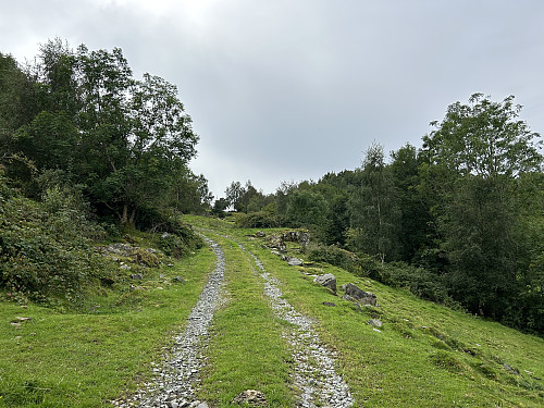 Traktorsti på vei oppover mot Eikåsen