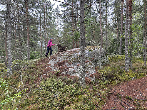 Cecilie er på vei opp på Vanakleiva.
