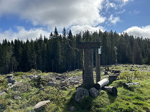 Løndalshøgda sett fra veien