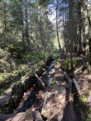 Vannrenna nord for Grimvassputten
