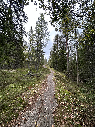 Sti oppover mot toppen av Kirkebyhøgda