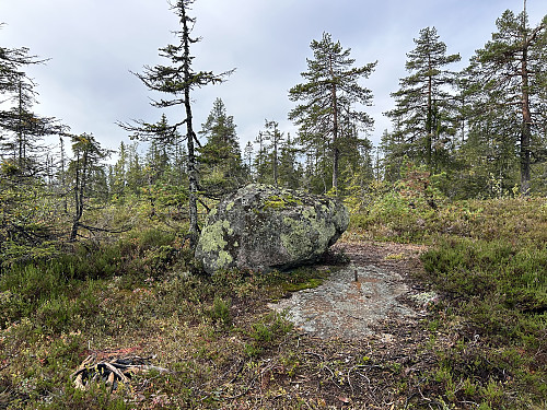Trigpunktbolter og stor stein ved det som er markert som toppen av Rudskampen