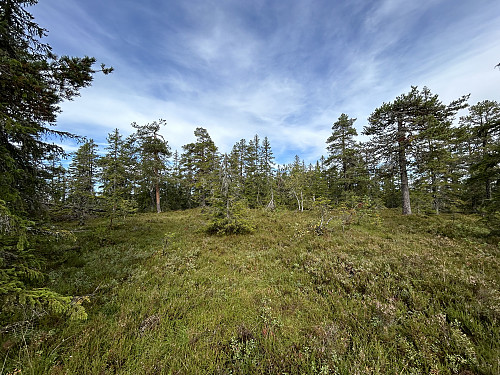 Toppen av Øst for Sortungskampen